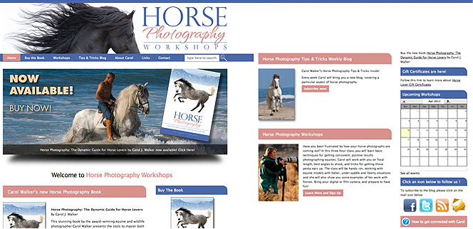 Carol Walker Horse Photography Colorado Web Design Carol Walker Horse Photography Colorado Web Design